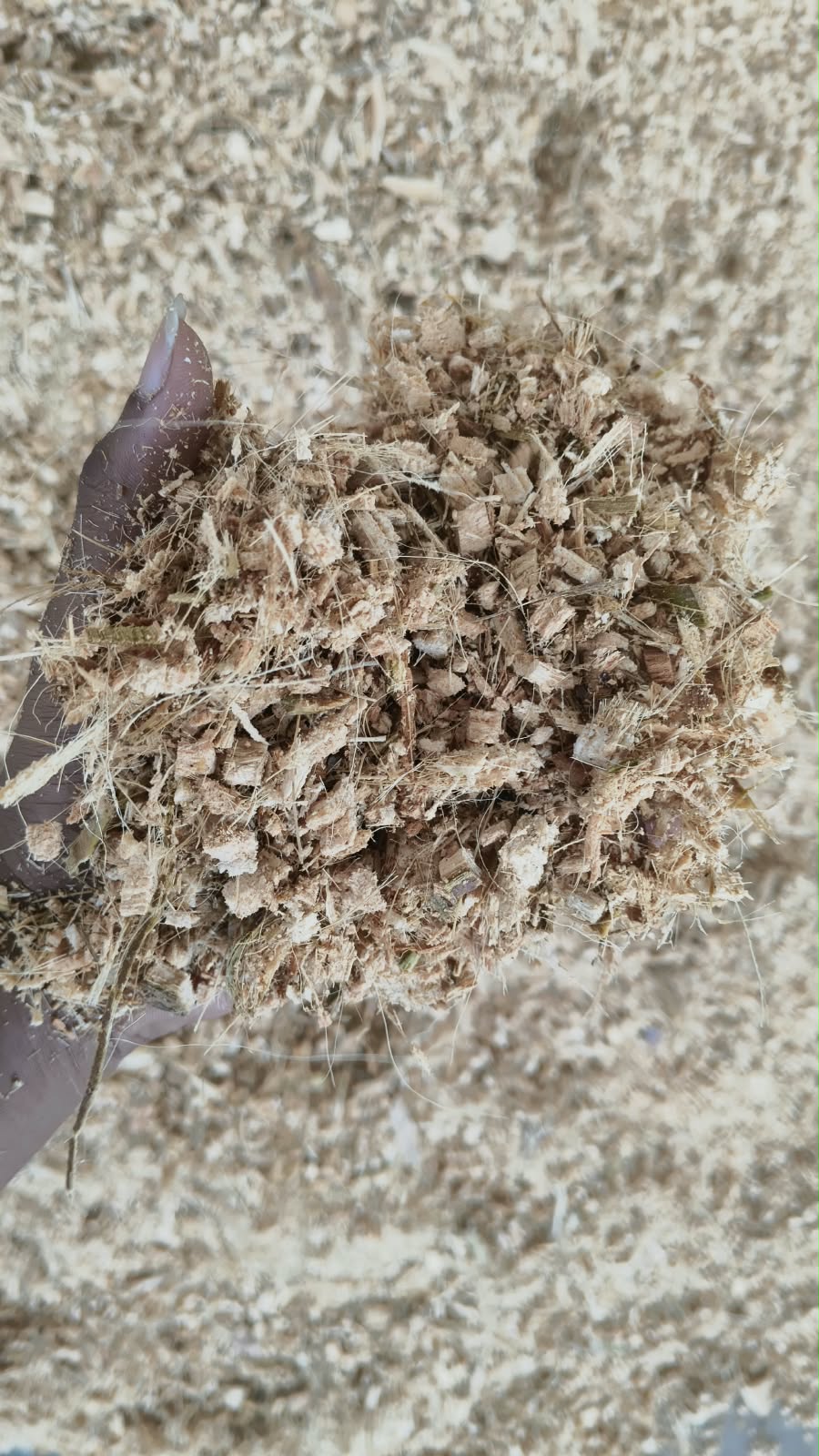 Coco Chips — SS FIBRE