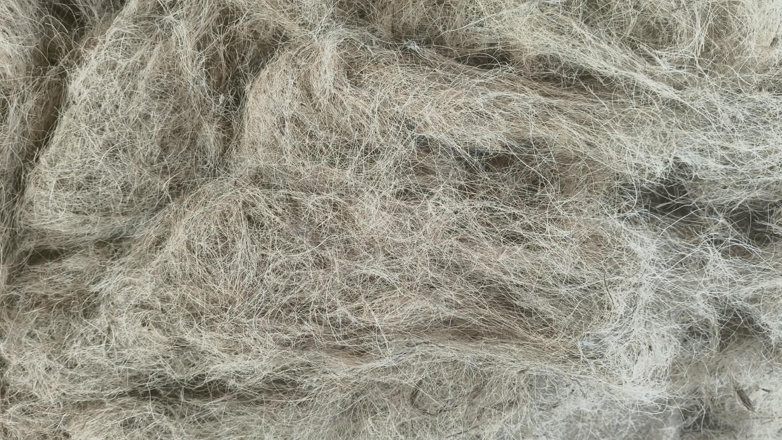 Coir Fibre — SS FIBRE