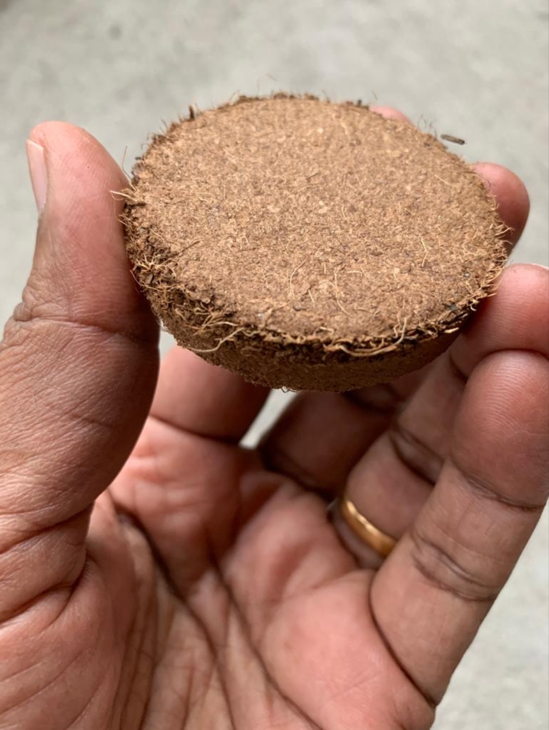 CoCo Coin
