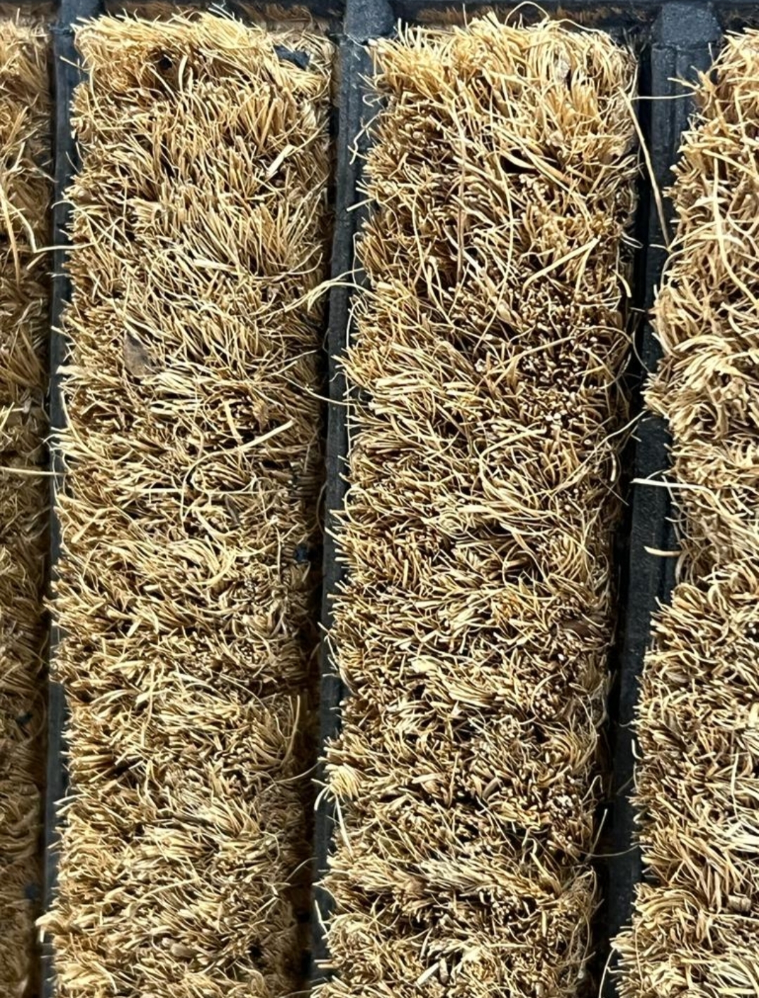 Coir Fibre Mat